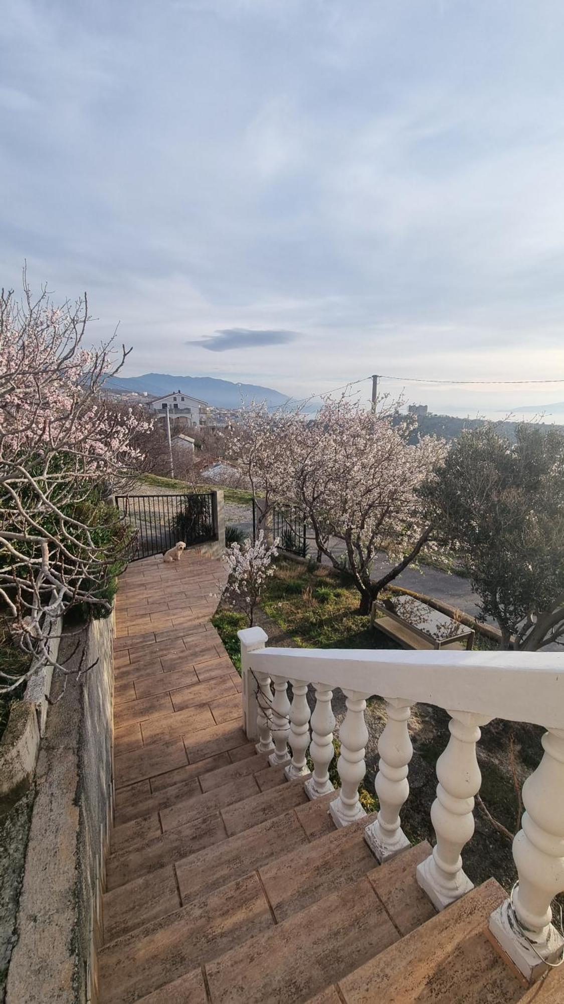 Apartman Pogled Na More سينج المظهر الخارجي الصورة